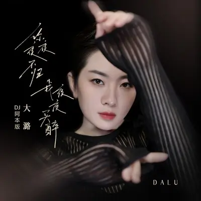 你夜夜不归我夜夜买醉(DJ阿本版)(DJ阿本版)封面