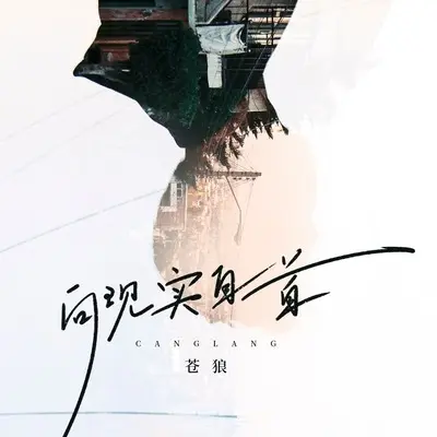向现实自首封面