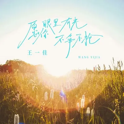 愿你眼里有光不争不抢(跑步版)(跑步版) - 王一佳封面