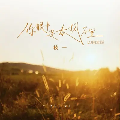 你眼中是春风万里(DJ阿本版)(DJ阿本版)封面