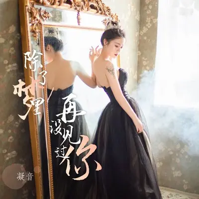 除了梦里再没见过你(DJ默涵版)(DJ默涵版)封面