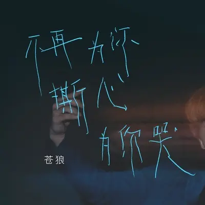 不再为你撕心为你哭(DJ版)(DJ版)封面