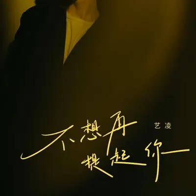 不想再提起你(DJ九零版)(DJ九零版)封面