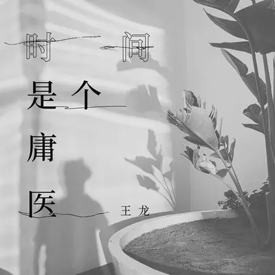 时间是个庸医封面