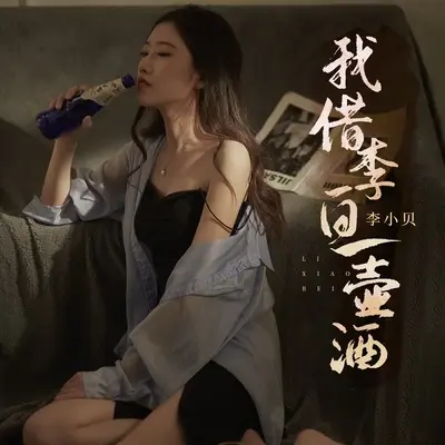 我借李白一壶酒(DJ陌梦版)(DJ陌梦版)封面