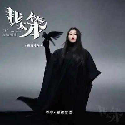 我太笨(不知名烟嗓版)(不知名烟嗓版)封面