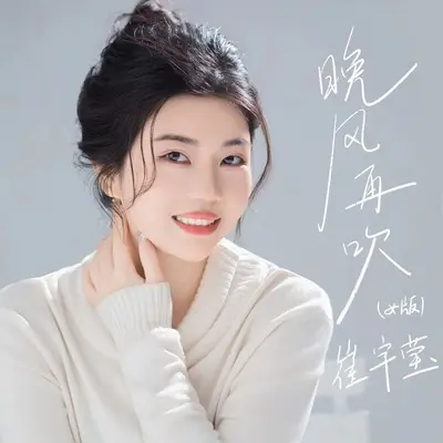 晚风再吹(DJ九零版)(DJ九零版)封面