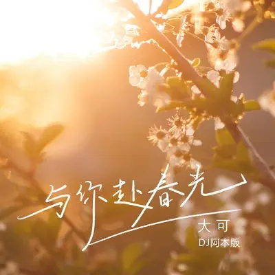 与你赴春光(DJ阿本版)(DJ阿本版)封面