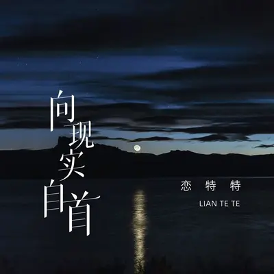 向现实自首封面