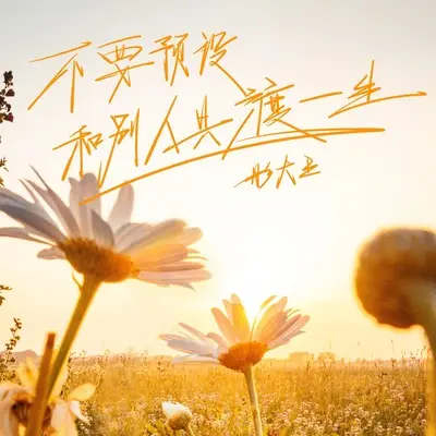 不要预设和别人共渡一生封面
