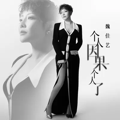个人因果个人了封面