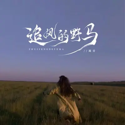 追风的野马封面