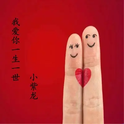 我爱你一生一世封面