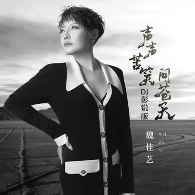 声声苦笑问苍天(DJ彭锐版)(DJ彭锐版)封面