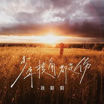 少年棱角都是伤封面