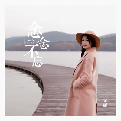 念念不忘封面