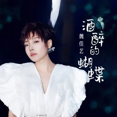 酒醉的蝴蝶(DJ默涵版)(DJ默涵版) - 魏佳艺封面