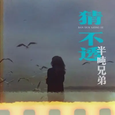 猜不透封面