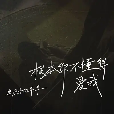 根本你不懂得爱我封面