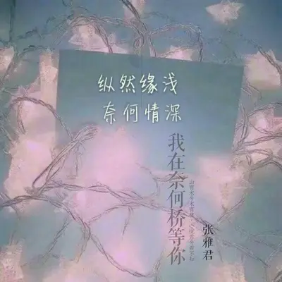 我在奈何桥等你封面