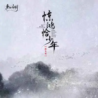 惊鸿恰少年(DJ沈念版伴奏)封面