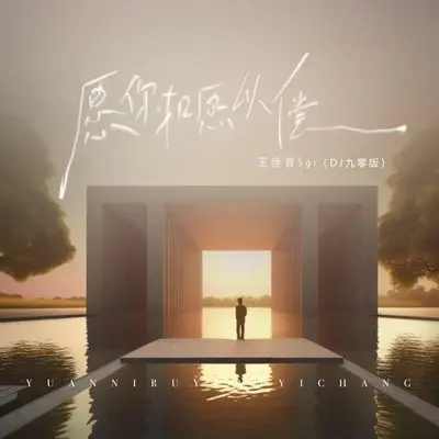 愿你如愿以偿(DJ九零版)(DJ九零版)封面