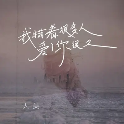 我瞒着很多人爱了你很久封面
