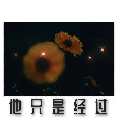 小红象封面