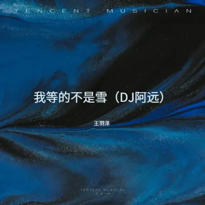 我等的不是雪(DJ加快版)(DJ加快版) - 王羽泽封面