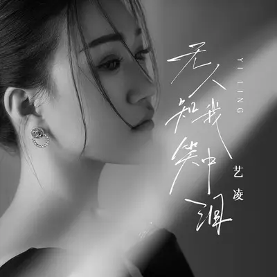 无人知我笑中泪(DJ阿本版)(DJ阿本版)封面