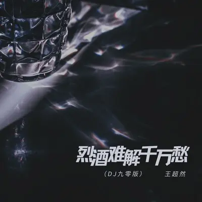 烈酒难解千万愁(DJ九零版)(DJ九零版)封面