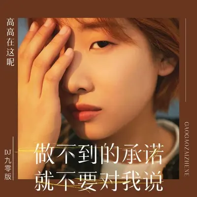 做不到的承诺就不要对我说(DJ九零版)(DJ九零版)封面