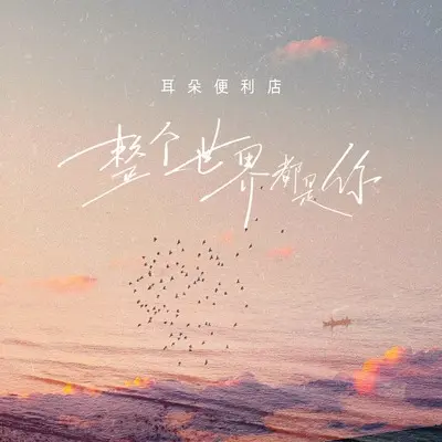 整个世界都是你(DJ九零版)(DJ九零版)封面