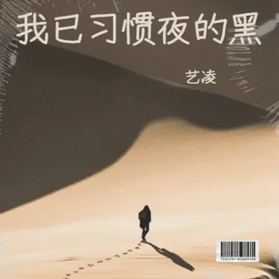 我已习惯夜的黑(Live合唱版)(Live合唱版) - 艺凌封面