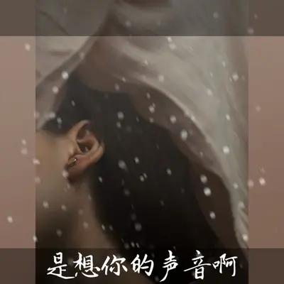 不思静曲(伴奏)封面