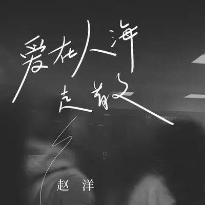 爱在人海走散 - 赵洋封面
