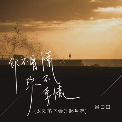 你不要慌你不用慌(太阳落下会升起月亮)(DJ九零版)(DJ九零版)封面