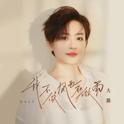 我不做风也不做雨(DJ默涵版)(DJ默涵版)封面