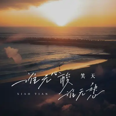 谁无心酸谁无愁封面