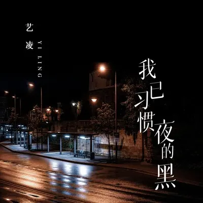 我已习惯夜的黑(DJ九零版)(DJ九零版) - 艺凌封面