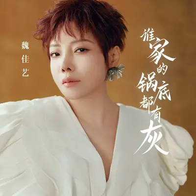 谁家的锅底都有灰封面