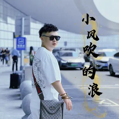 小风吹的浪(完整版)(完整版)封面