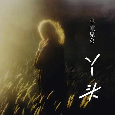 丫头 (DJ九零版)封面