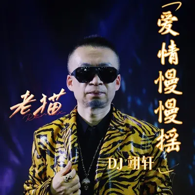 爱情慢慢摇 DJ 翊轩封面