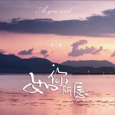 如你所愿封面