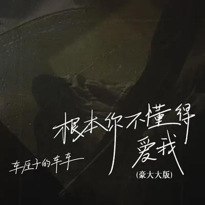 根本你不懂得爱我(DJ豪大大版)(DJ豪大大版) - 车厘子的车车封面