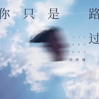 你只是路过封面