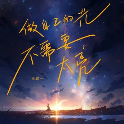 做自己的光，不需要太亮封面