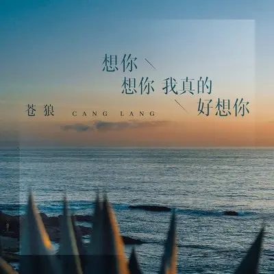 想你想你我真的好想你封面