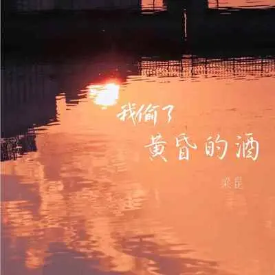 我偷了黄昏的酒(DJ版伴奏)封面